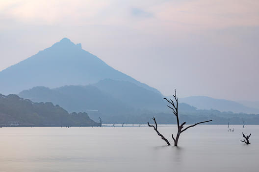 Kandalama Lake - Sri Lanka