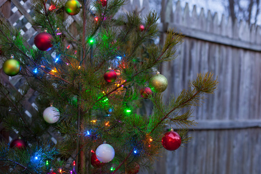 A decorated christmas tree outside next to a fence