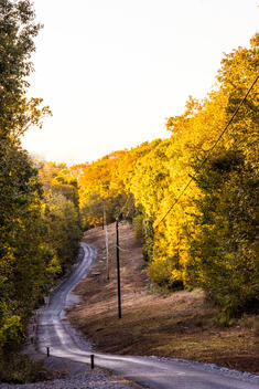 A Winding Lane In The Autumn Sunshine In Tennessee